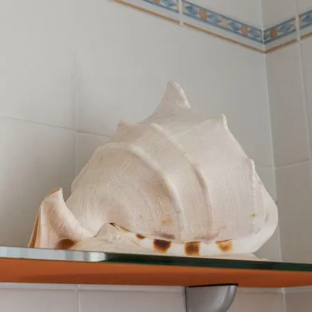 Appartement Sunrise Venice *